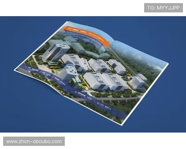 欧博正网合作流程详解及合作伙伴成功案例分享